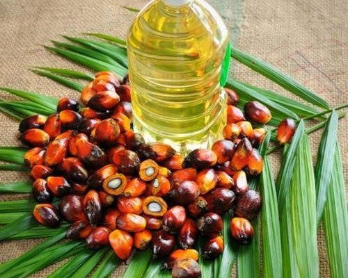 100-pure-natural-unrefined-palm-edible-oil-for-cooking-food-804