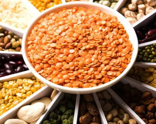 About-pulses-for-kids
